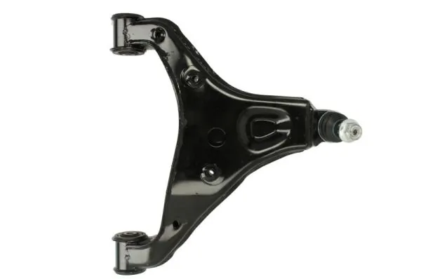 RH043052 Reinhoch