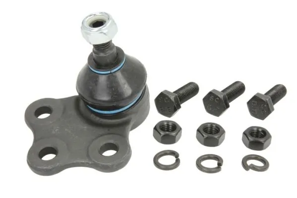 RH035003 Reinhoch