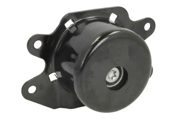 RH115035 Reinhoch