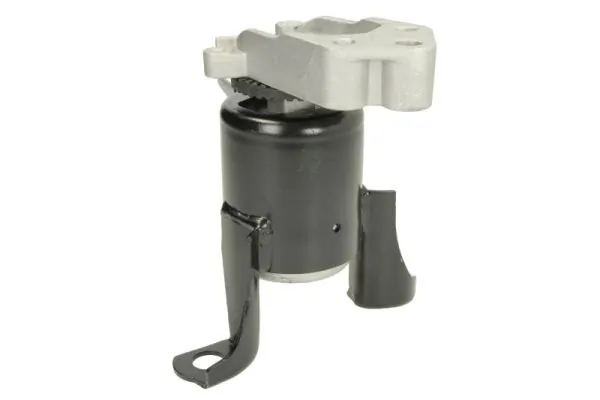 RH114056 Reinhoch