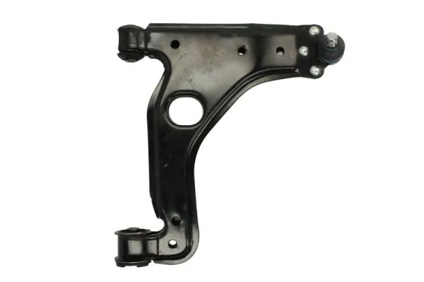 RH045017 Reinhoch