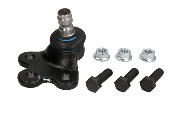 RH032041 Reinhoch