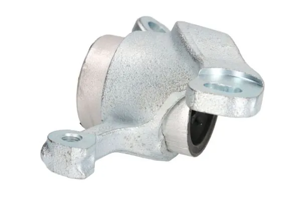 RH143049 Reinhoch