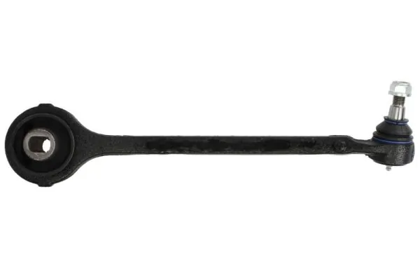RH046019 Reinhoch