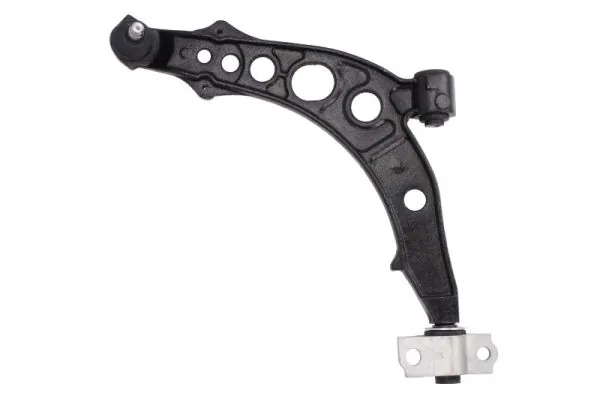 RH041029 Reinhoch
