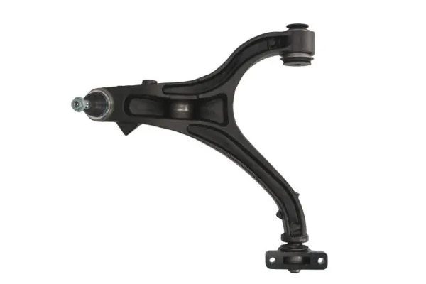 RH046026 Reinhoch