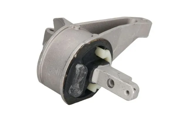 RH110117 Reinhoch