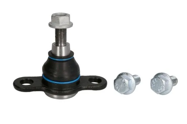 RH030040 Reinhoch