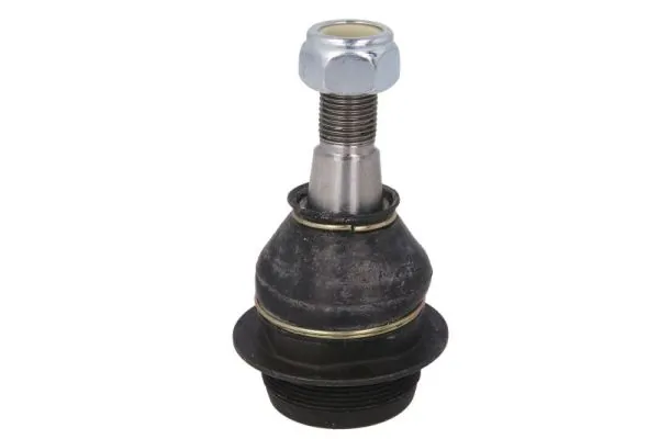RH032047 Reinhoch