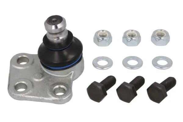 RH032029 Reinhoch
