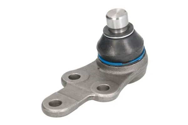 RH034001 Reinhoch