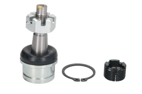 RH036004 Reinhoch