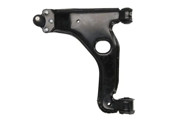 RH045016 Reinhoch