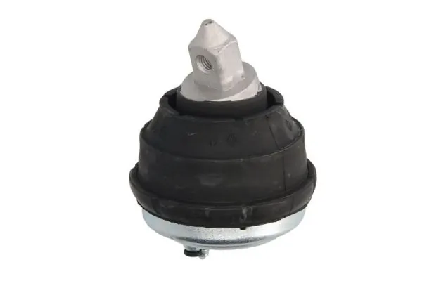 RH113017 Reinhoch