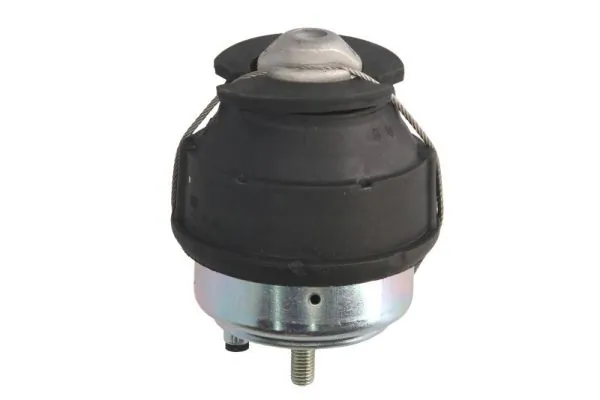RH114006 Reinhoch
