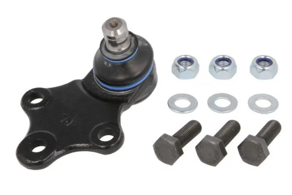 RH032020 Reinhoch