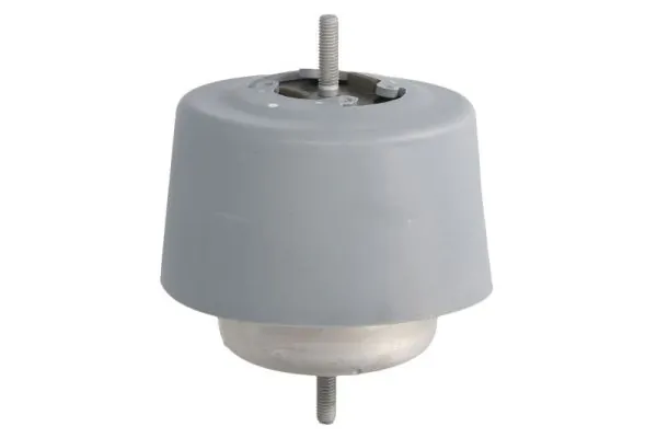 RH110037 Reinhoch
