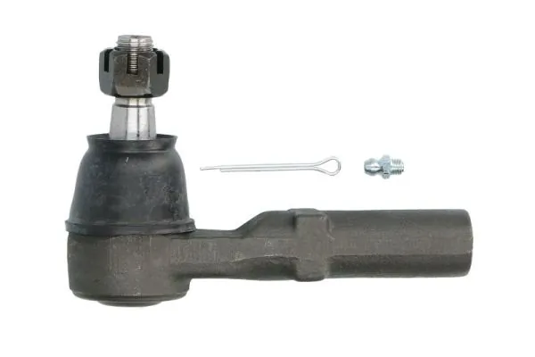 RH016009 Reinhoch