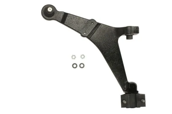 RH042026 Reinhoch