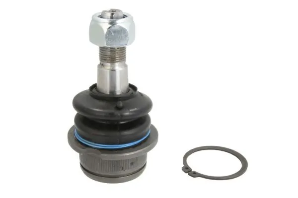 RH030030 Reinhoch