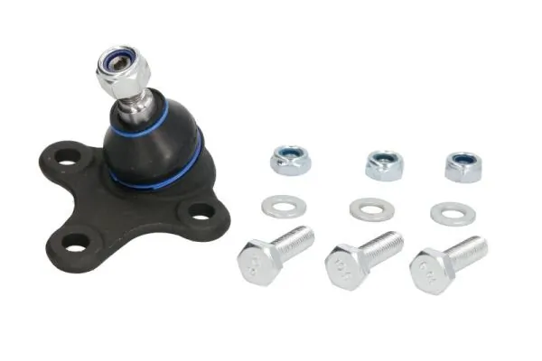 RH030015 Reinhoch
