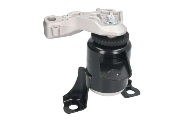 RH114053 Reinhoch
