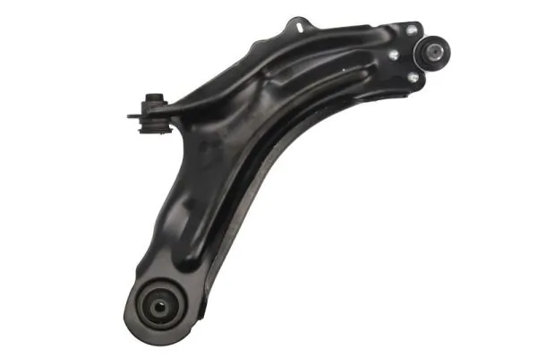 RH043069 Reinhoch