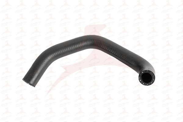 MH55786 Meha