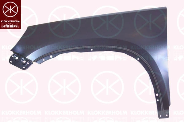 Błotnik przedni lewy Volkswagen Tiguan I SUV (5N1, 5N2) (2007 - 2018) cena, od 75,48 USD