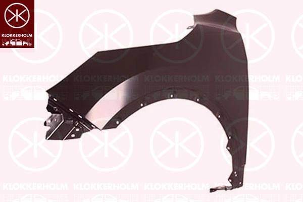 Błotnik przedni lewy Nissan Qashqai II SUV (J11) (2013 - 2021) cena, od 101,48 USD