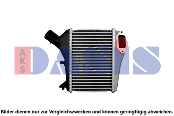 107003N Dasis