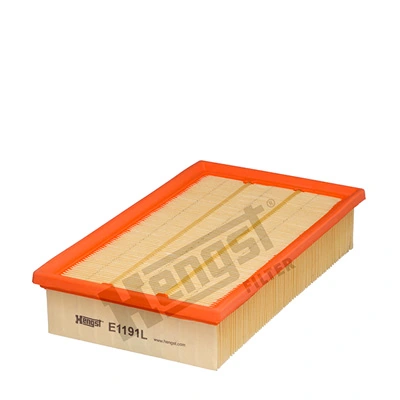E1191L Hengst