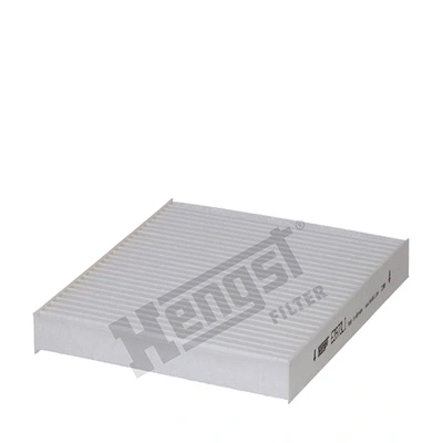 E3973LI Hengst