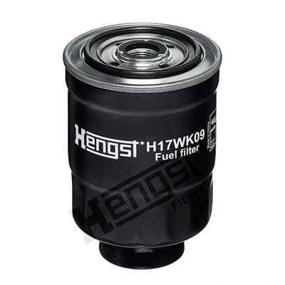 H17WK09 Hengst