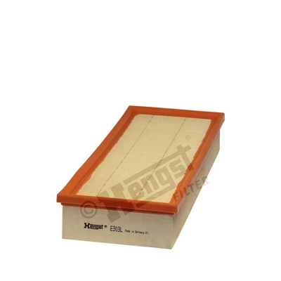 E303L Hengst