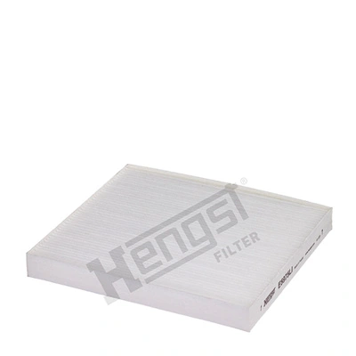 E5975LI Hengst