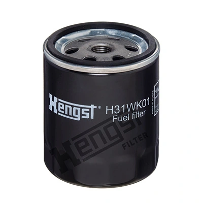 H31WK01 Hengst