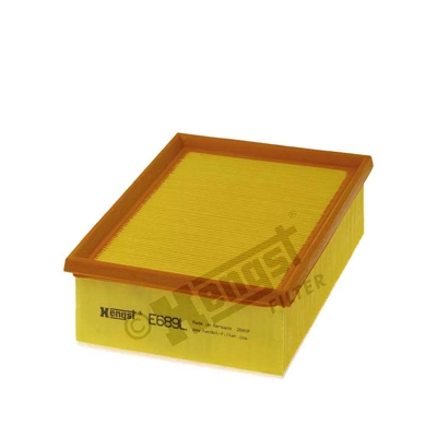 E689L Hengst