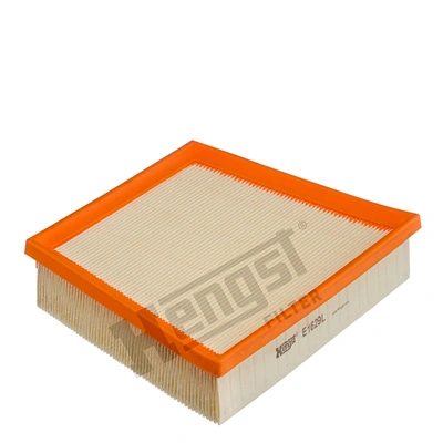 E1629L Hengst