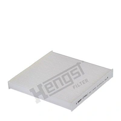 E2946LI Hengst