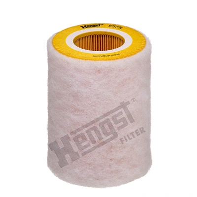 E573L Hengst