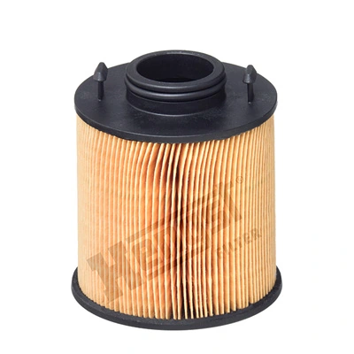 E101UD324 Hengst
