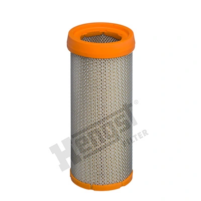 E1196L Hengst