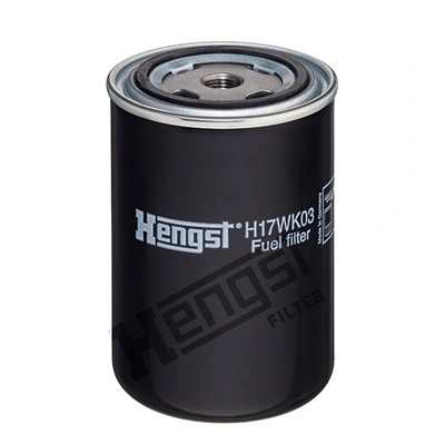 H17WK03 Hengst