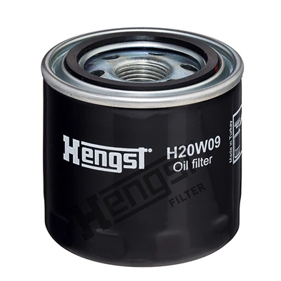 H20W09 Hengst