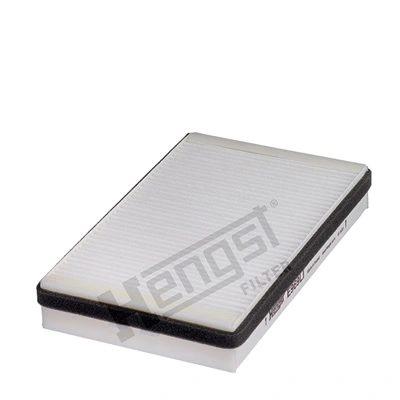 E969LI Hengst