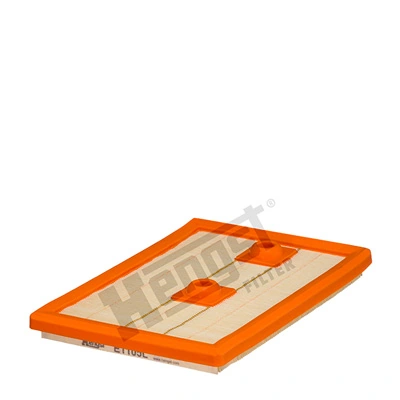 E1105L Hengst