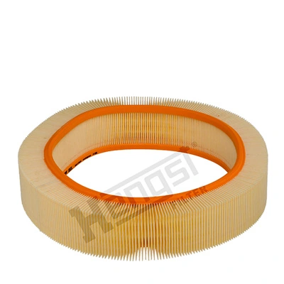 E82L Hengst