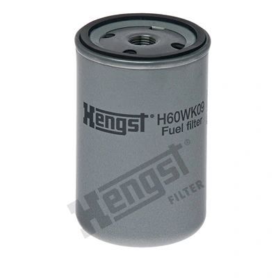 H60WK09 Hengst