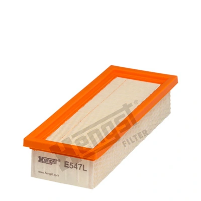 E547L Hengst